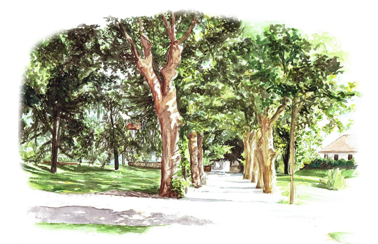 Chateau Brachet Grésy-sur-Aix Εξωτερικό φωτογραφία
