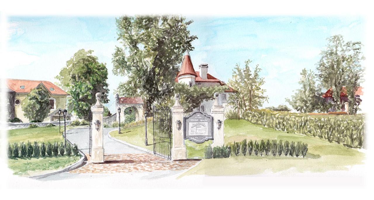 Chateau Brachet Grésy-sur-Aix Εξωτερικό φωτογραφία